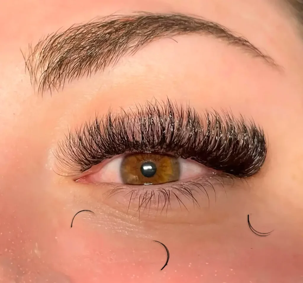 How many eyelashes do you lose a day