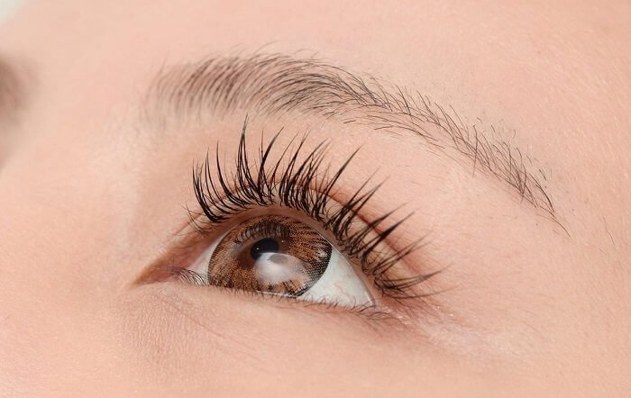 How Many Eyelashes Does a Human Have?