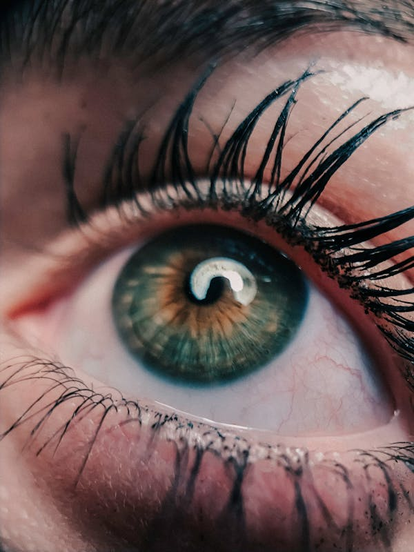 How Eyelashes Are Made
