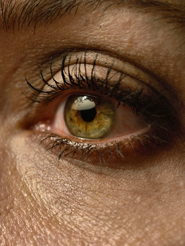 Are Eyelashes Made from Animals?