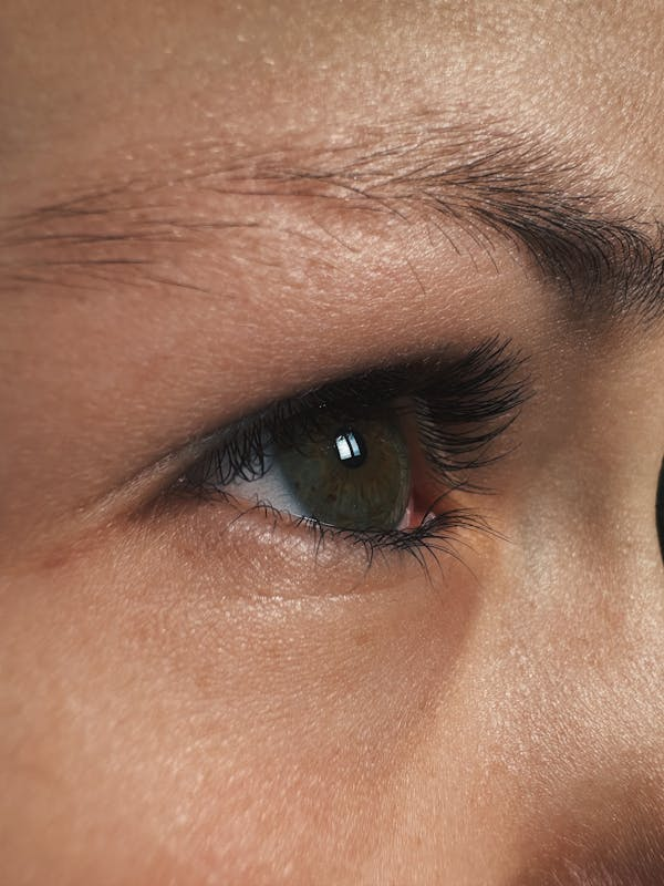 Are Eyelashes Made from Animals?