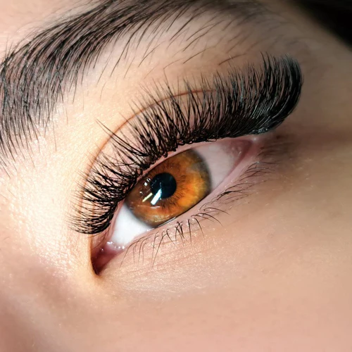 Soft Arch Squirrel Lashes